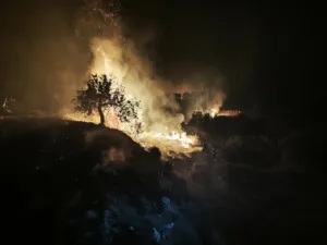 Пожар в Лимассоле, унесший жизни двух человек, был вызван поджогом