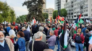 Посол Палестины осудил обвинения против активистов, поднявших палестинский флаг на Кипре