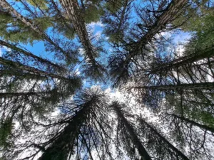 Кипр: Оранжевое предупреждение о жаре до +43°C в среду
