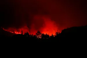 Франция борется с крупнейшим лесным пожаром года: 13 000 гектаров сгорело, есть жертвы