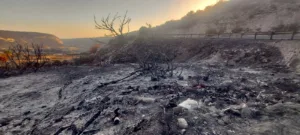 Крупнейшие пожары на Кипре за 50 лет угрожают сделать земли бесплодными