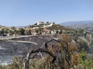 Винодельня Monolithos в Лимассоле вновь подключена к электросети спустя 14 дней после пожара