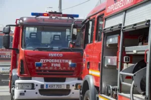 Два пожара в Цери локализованы, сгорело 5 гектаров земли