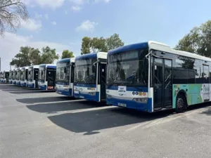 Забастовка автобусов в Ларнаке завершена, общественный транспорт работает в обычном режиме