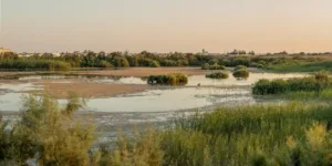 В Ороклини отключат воду из-за ремонтных работ