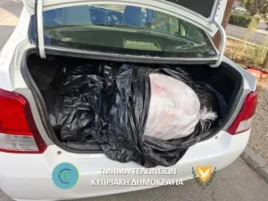 На КПП Айос-Дометиос изъяли 300 кг сырого мяса, привезённого с севера Кипра