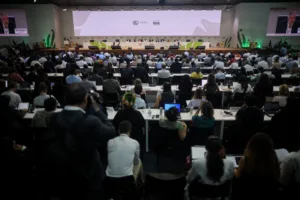 На переговорах COP30 в Бразилии достигнута предварительная договорённость по климату