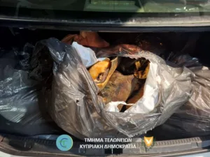 На КПП Айос-Дометиос изъяли 200 кг мяса, ввезённого с севера Кипра