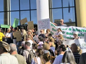 Протест в защиту 2 000 животных в приюте «Пафиакос»