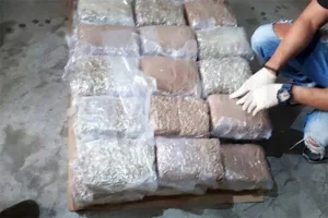 На Кипре уничтожены улики по 1184 делам, связанным с наркотиками