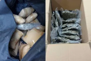 Гражданка Греции приговорена к 12 годам тюрьмы за контрабанду 22 кг каннабиса