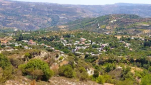 В Саламиу прошла церемония в честь жителей и экспатов, внесших значительный вклад в развитие деревни