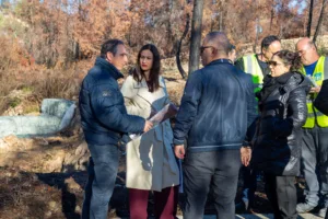 Противопаводковые меры в пострадавших от пожара районах Лимассола пока выдерживают сезонные дожди