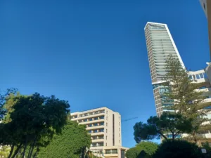 PwC Cyprus провела в Никосии кипрско–индийское мероприятие по ИИ и обсудила сотрудничество