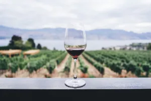 Cyprus chamber alerts businesses to SiciliaWine 2026 mission in Chiusa Sclafani, Palermo