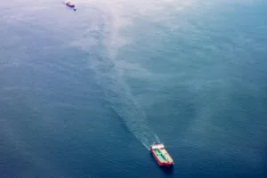 Кипрский морской сектор входит в 2026 год «в более сильной форме», заявила Марина Хаджиманолис