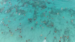 Ayia Napa promotes year-round tourism through international festivals, says interior minister