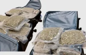 Larnaca court sentences two Italians after 17.6kg cannabis found at airport