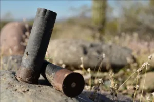 Cyprus faces calls to back EU REACH ban on lead in hunting cartridges and fishing weights