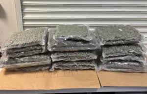 100kg of cannabis and cocaine seized in Nicosia operation, two arrested