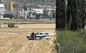 Полицейские Кипра, снятые на видео в служебном автомобиле, предстанут перед дисциплинарным разбирательством, уголовных обвинений не будет