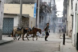 U.S. Southern Command chief says military not rehearsing invasion or takeover of Cuba