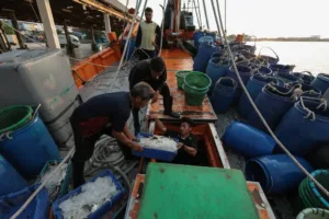 Southeast Asian governments intervene as Iran war fuels energy shocks in Philippines and Thailand
