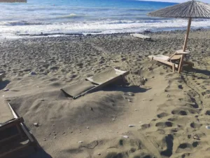 Новые правила рыболовства вводят штрафы до €20 000 и тюремное заключение за правонарушения в отношении охраняемых морских видов