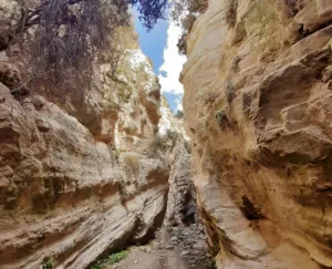 Avakas Gorge trail in Akamas National Forest Park remains closed amid adverse weather