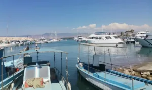 Палата представителей единогласно одобрила бюджет Cyprus Ports Authority в размере €83,95 млн