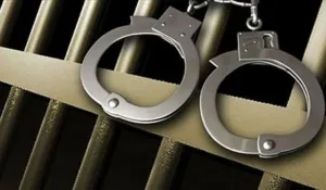 Полиция Кипра задержала семерых в ходе ночных операций и зарегистрировала 163 нарушения ПДД