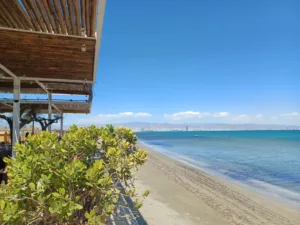 Cyprus tourism revenues hit record €3.69 billion in 2025, Cystat says