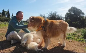 Cyprus dog behaviour consultant calls for deeper focus on animal behaviour and welfare