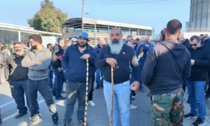 Cyprus veterinary services urge farmers not to gather ahead of protest over livestock culling