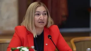 Four coalition members oppose disinformation bill ahead of Turkish Cypriot legislature vote