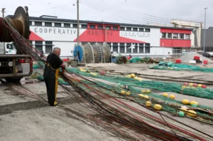 Italian senators propose incentives for donating fishing nets to Ukraine for anti-drone defenses