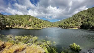 Paphos officials cite improved dam inflows and expanded desalination as water outlook brightens
