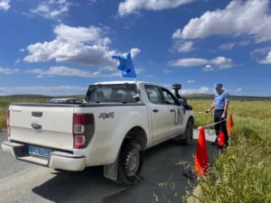 Кипр уничтожит 4 000 свиней после первого случая ящура на ферме в Палайометохо