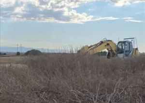 Kokkinotrimithia residents oppose burial pits for culled animals near homes