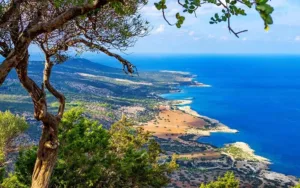 Friends of Akamas призывает отозвать экологическую оценку по модернизации лесной дороги в Акамасе