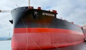 Safe Bulkers orders four Japanese-built dry bulk newbuildings, including first Capesize