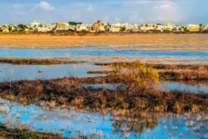 35 organisations oppose planned development near Famagusta port coastal and wetland zone