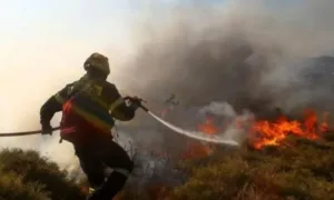 Общины Кипра призывают к большей поддержке для борьбы с рисками летних пожаров