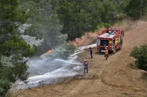 Cyprus holds Ifestos wildfire response exercise near Kapedes in Nicosia district