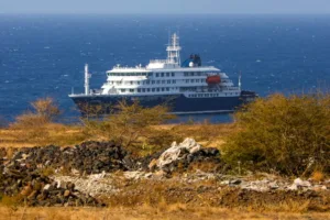 WHO suspects rare human-to-human hantavirus transmission on cruise ship near Cape Verde