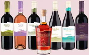 Oinou Yi expands its estate-grown wine portfolio in Omodos