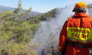 Fire near Neo Chorio in Paphos district investigated as suspected arson