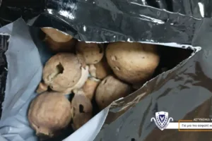 Центр по борьбе с зависимостями предупреждает о росте употребления психоактивных веществ и азартных игр среди молодежи на Кипре