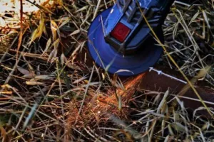 Forestry department warns of €2,000 fines for unpermitted spark-producing equipment near state forests
