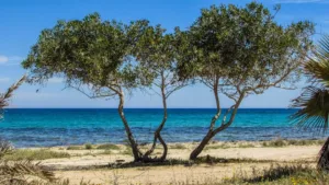 Cyprus records excellent rating at all monitored bathing sites in 2025 EU water quality report